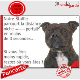 Staffie bringé, plaque humour "parcourt distance Niche-Portail moins de 3 secondes, rapide" photo résiste intempéries