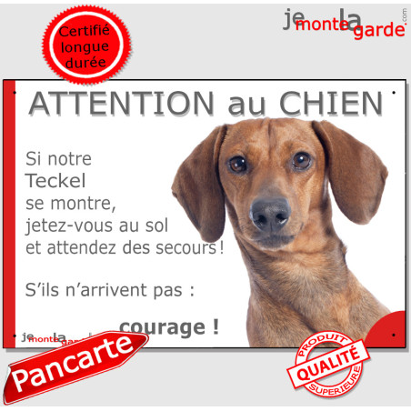 Teckel poils ras fauve marron, plaque portail humour "Attention au chien, Jetez Vous au Sol, courage" photo, résiste pluie solei