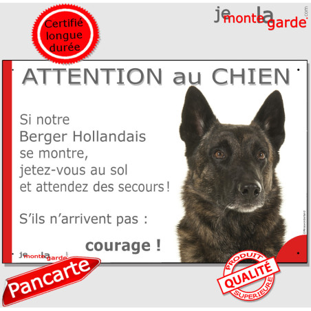 Berger Hollandais à poils courts, plaque humour "Attention au Chien, Jetez Vous au Sol, courage" photo, résiste pluie soleil gel
