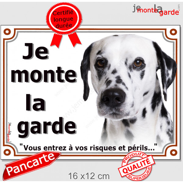 Dalmatien Tête, plaque portail extérieur "Je Monte la Garde, risques périls" panneau photo pancarte attention au chien