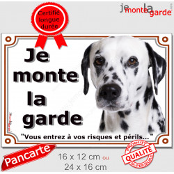 Dalmatien Tête, plaque portail extérieur "Je Monte la Garde, risques périls" panneau photo pancarte attention au chien