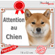 Shiba Inu fauve Tête, plaque portail extérieur "Attention au Chien" pancarte panneau orange marron photo