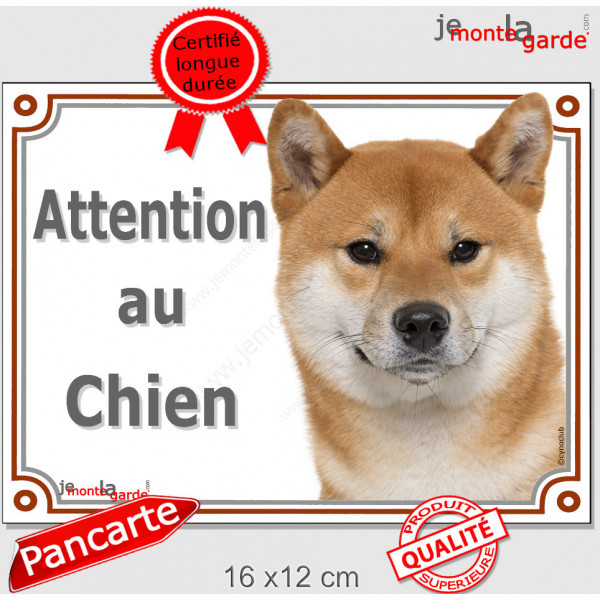 Shiba Inu fauve Tête, plaque portail extérieur "Attention au Chien" pancarte panneau orange marron photo