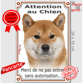 Shiba-Inu fauve marron Tête, plaque "Attention au Chien, entrez pas sans autorisation" pancarte panneau photo