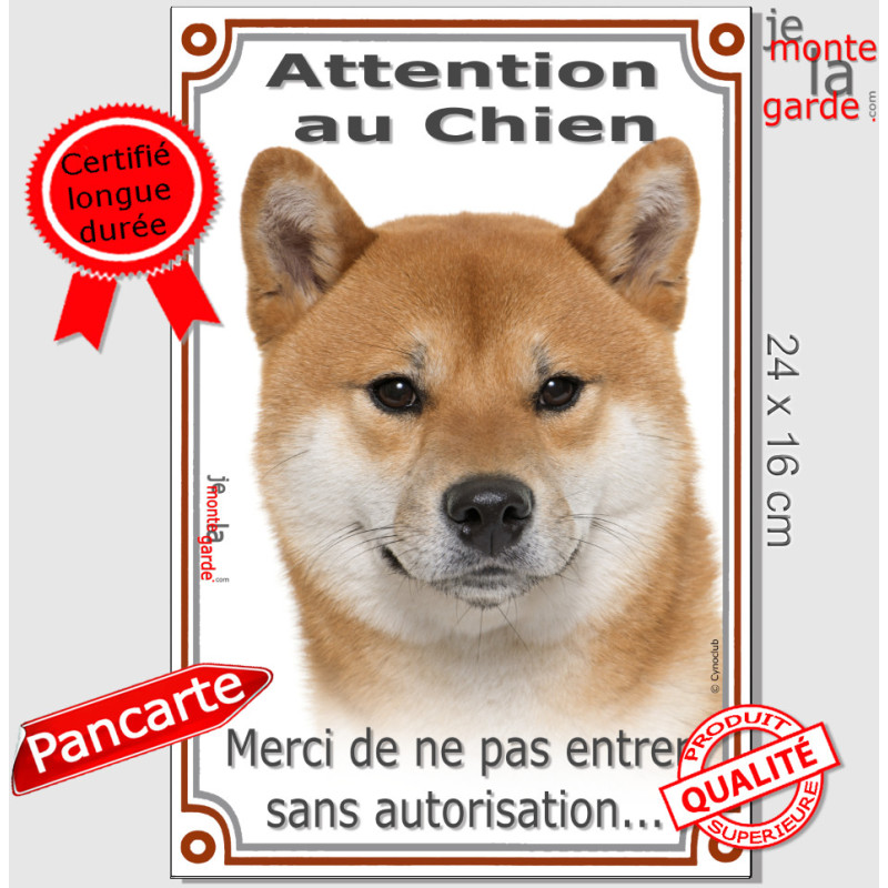 Shiba-Inu fauve marron Tête, plaque "Attention au Chien, entrez pas sans autorisation" pancarte panneau photo