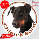 Dobermann noir et feu, sticker voiture rond "Chien à Bord" 14 cm