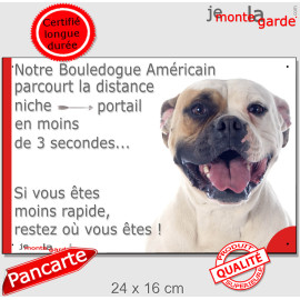 Bouledogue Américain blanc fauve, plaque humour "parcourt distance niche portail moins 3 secondes" attention au chien, résiste p