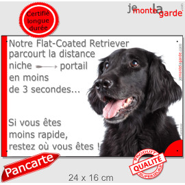 Flat Coated Retriever, Plaque Portail humour "parcourt distance niche portail moins 3 secondes, rapide" photo
