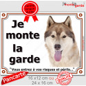 Husky cuivre, plaque portail "Je Monte la Garde, risques périls" 2 tailles LUX D