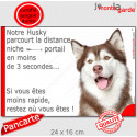 Husky marron Tête, plaque "distance Niche - Portail" 24 cm 3SEC