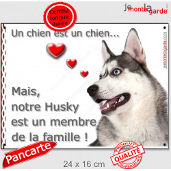 Husky Gris Tête, plaque "Membre de la Famille" 24 cm LOVE