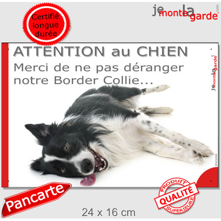 Plaque portail humour "Attention au Chien, Merci de ne pas déranger notre Border Collie" photo, résiste pluie soleil gel, idée c