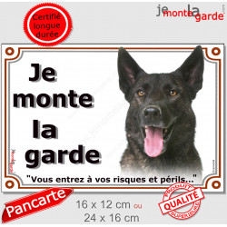 Berger Hollandais bringé, plaque portail extérieur "Je Monte la Garde, risques et périls" pancarte poils courts photo