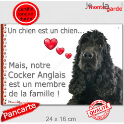 Cocker Anglais Noir, plaque "Un chien est Membre de la Famille" photo panneau idée cadeau cadre pancarte affiche