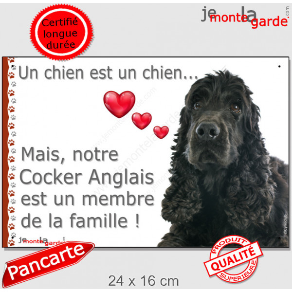 Cocker Anglais Noir, plaque "Un chien est Membre de la Famille" photo panneau idée cadeau cadre pancarte affiche