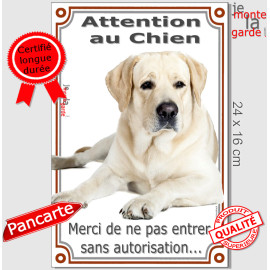 Labrador Sable Couché, affiche verticale portail "attention au chien, merci de ne pas entrer sans autorisation" photo, résiste p