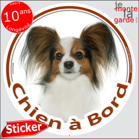 Epagneul Continental Papillon, sticker autocollant rond "Chien à Bord" disque adhésif vitre voiture marron photo, résiste pluie 