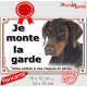 Dobermann marron et Feu Tête, Plaque portail "Je Monte la Garde, risques périls" panneau photo pancarte attention au chien
