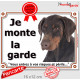 Dobermann marron et Feu Tête, Plaque portail "Je Monte la Garde, risques périls" panneau photo pancarte attention au chien