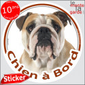 Bulldog Anglais fauve, sticker voiture rond "Chien à Bord" 14 cm