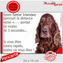 Setter Irlandais, plaque "distance Niche - Portail" 24 cm 3SEC