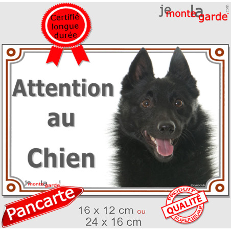 Schipperke Tête, Plaque portail "Attention au Chien" photo,, résiste pluie soleil gel, idée cadeau