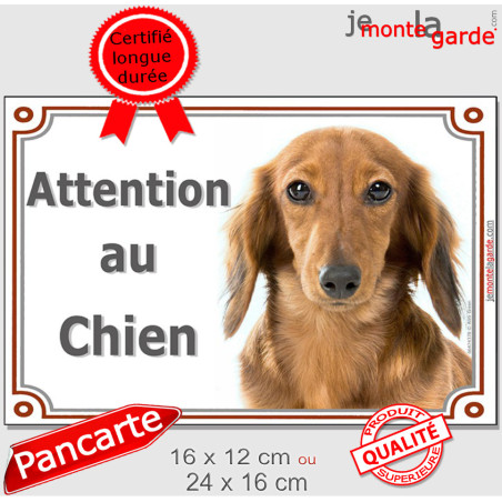 Teckel fauve poils longs Tête, plaque portail photo "Attention au Chien" marron tequel orange, résiste pluie soleil gel, idée ca