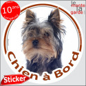 Yorkshire Terrier, disque voiture extérieure "Chien à Bord" 14 cm