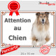 Colley fauve, plaque portail "Attention au Chien" pancarte panneau photo, Berger d'Ecosse marron Lassie