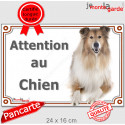 Colley fauve, plaque portail "Attention au Chien" 24 cm LUX