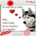 Husky Gris, plaque "Membre de la Famille" 24 cm Love