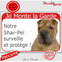 Shar-Peï fauve marron, plaque portail rouge "Je Monte la Garde, surveille protège" pancarte sharpei attention au chien photo 