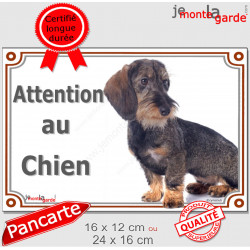 Teckel Poils Durs assis, Panneau portail "Attention au Chien" plaque rue photo affiche pancarte entrée
