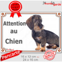 Teckel Poils Durs, plaque portail "Attention au Chien" 2 tailles D