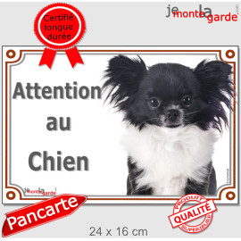 Chihuahua noir et blanc à poils longs, plaque portail "Attention au Chien" entrée, photo race, résiste pluie soleil gel, idée ca