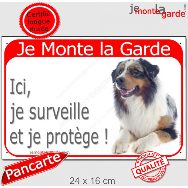 Berger Australien bleu merle couché, plaque portail rouge "Je Monte la Garde, surveille protège" pancarte photo aussie