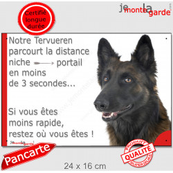 Berger Belge Tervueren travail, plaque humour "parcourt Distance Niche - Portail moins 3 secondes, pancarte attention au chien