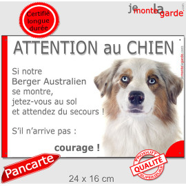 Berger Australien Rouge Merle et Blanc, Panneau humour portail "Attention au Chien, jetez-vous au sol et attendez des secours" p