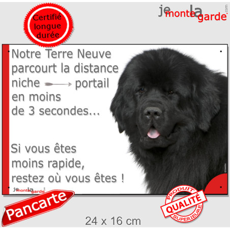 Terre Neuve Noir tête, plaque humour "Attention au chien, parcourt distance Niche-Portail moins de 3 secondes" photo