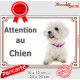 Bichon Frisé Couché, Plaque portail "Attention au Chien" panneau affiche pancarte photo race