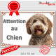 Lagotto Romagnolo Tête, plaque portail extérieur "Attention au Chien" pancarte photo chien d'eau Romagole