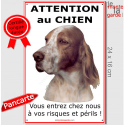 Setter Anglais orange et blanc belton, Plaque portail Verticale "Attention au Chien, risques et périls" panneau pancarte photo