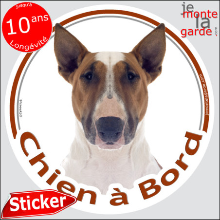 Bull Terrier fauve et blanc, sticker autocollant rond "Chien à Bord" adhésif photo vitre voiture auto, résiste pluie soleil gel,