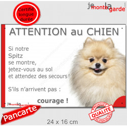 Spitz Nain crème, Loulou Poméranie, plaque portail humour "Attention au Chien, Jetez Vous au Sol, attendez secours, courage"
