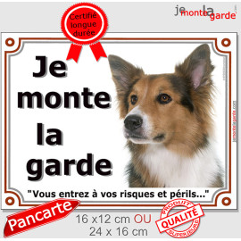 Border Collie tricolore Tête, plaque portail "Je Monte la Garde, vous entrez à vos risques et périls 3 couleurs photo, résiste