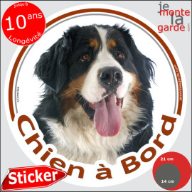 Bouvier Bernois, sticker autocollant rond "Chien à Bord" Disque adhésif photo vitre voiture, résiste pluie soleil gel, idée cade
