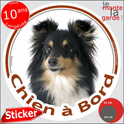 Shetland tricolore, sticker voiture rond "Chien à Bord" 2 tailles D