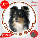 Shetland tricolore, sticker voiture rond "Chien à Bord" 2 tailles D