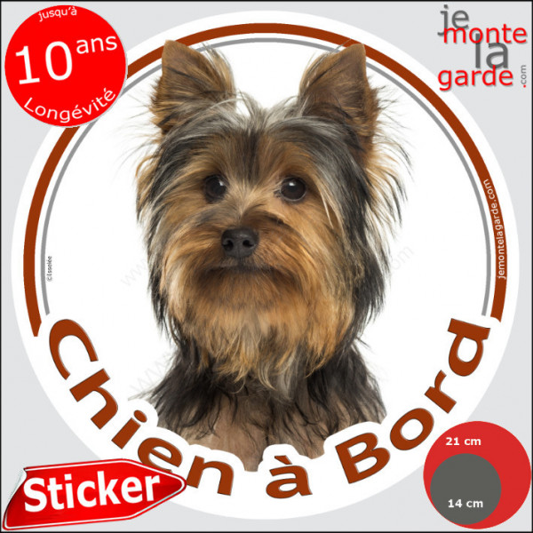 Yorkshire Terrier, sticker autocollant rond "Chien à Bord" disque photo York noir foncé adhésif vitre voiture