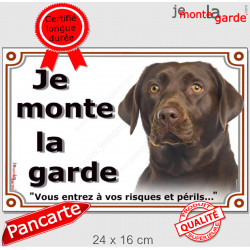 Labrador Chocolat Tête, Plaque portail extérieur "Je Monte la Garde, risques périls" panneau pancarte photo marron brun